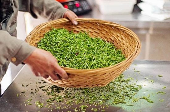 武夷巖茶的初制、精制加工工藝詳細(xì)講解