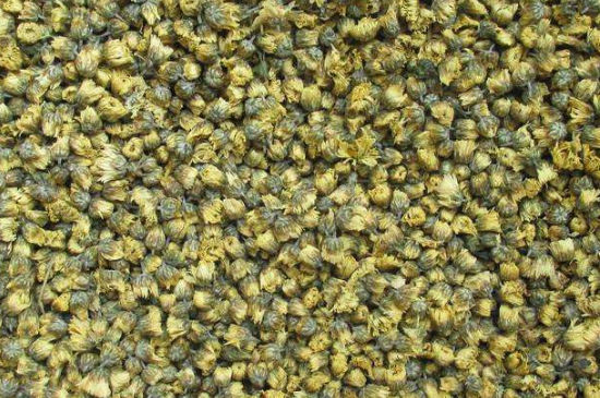 菊花茶大朵小朵有什么區(qū)別，菊花喝大朵還是小朵？