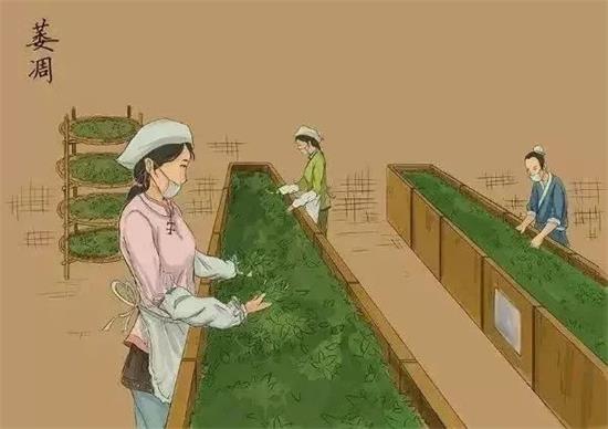 制茶八步驟，制茶工藝流程圖