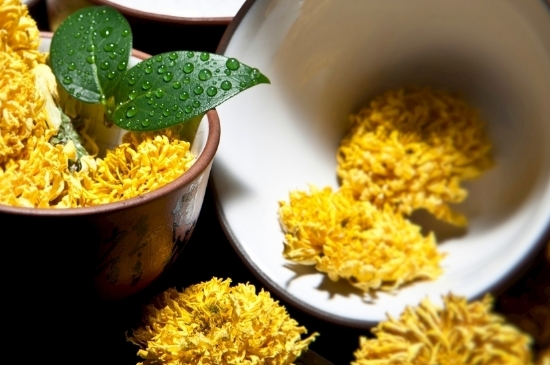 孕婦可以喝菊花茶嗎，菊花對(duì)胎兒有致畸作用？