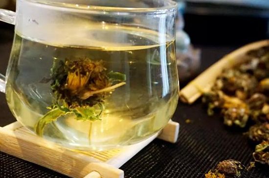 蒲公英最佳搭配，蒲公英茶和什么搭配泡水最佳