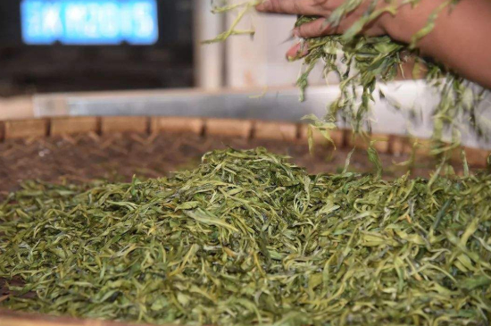 炒青綠茶與綠茶的區(qū)別，烘青和炒青哪個好喝？