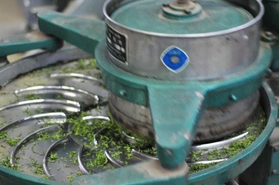 武夷巖茶的初制、精制加工工藝詳細(xì)講解