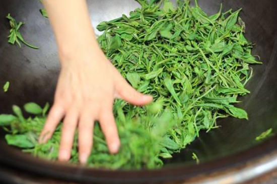 炒青綠茶與綠茶的區(qū)別，烘青和炒青哪個好喝？