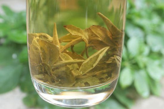 茉莉龍珠泡開后為什么都是梗，茉莉龍珠泡開后什么樣？