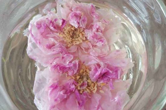 玫瑰花茶上火嗎，盲目喝玫瑰花茶易上火