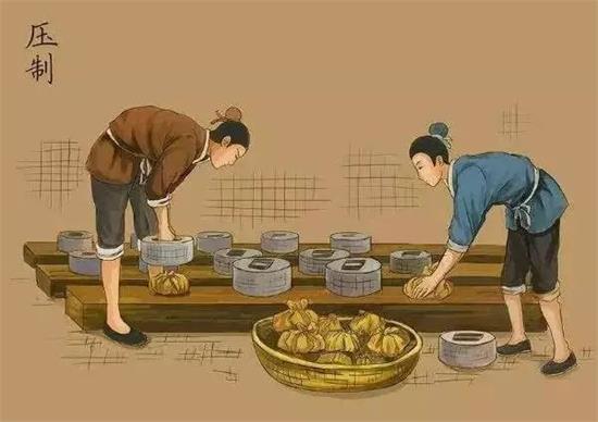 制茶八步驟，制茶工藝流程圖