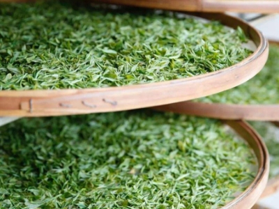 云南八大茶系分別是哪些，都是什么名字