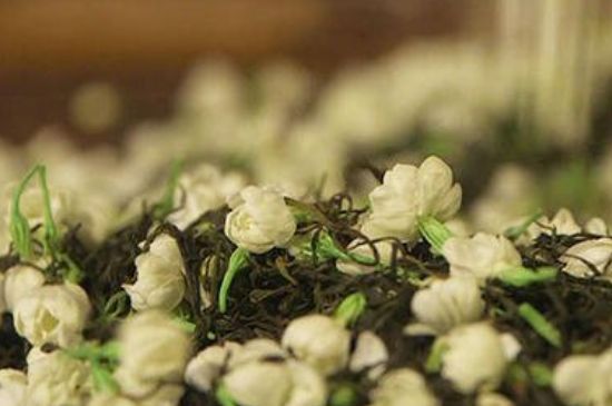 蒸茶器可以蒸花茶嗎，蒸茶器能用來(lái)蒸茉莉花茶嗎？