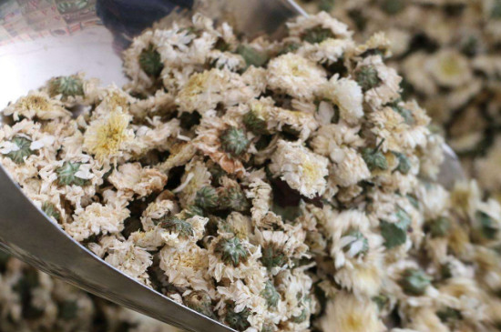 菊花茶買(mǎi)小朵還是大朵，泡茶用的小菊花和大菊花哪個(gè)好