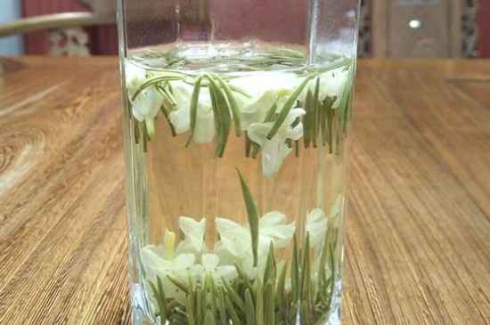 女孩喝茉莉茶的好處，茉莉茶葉的功效與禁忌