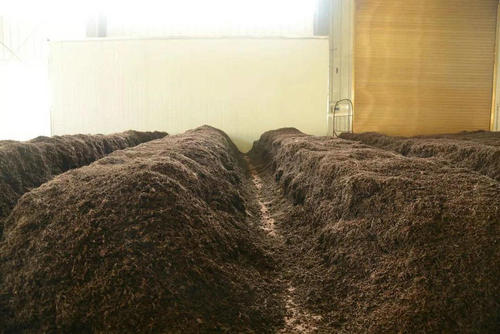 制茶八步驟，制茶工藝流程圖