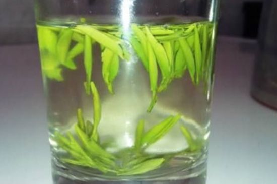 翠眉是什么茶，適合什么時候喝