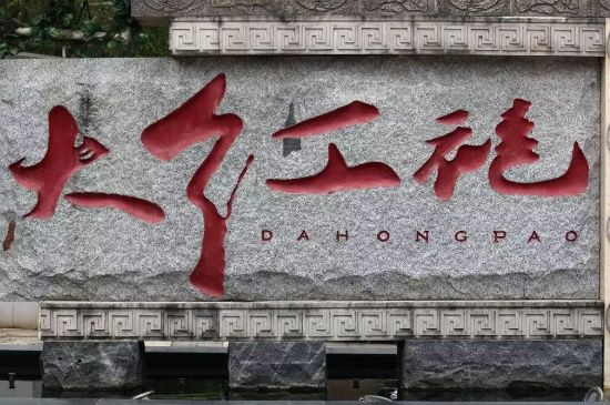 母樹大紅袍給誰喝了，為什么母樹大紅袍叫三棵六株？