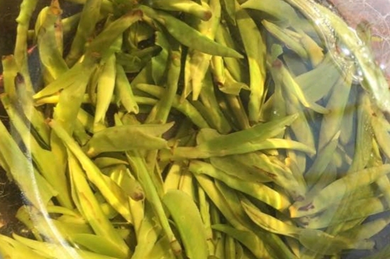 龍井是明前的好還是雨前的好，明前茶和雨前茶哪個(gè)好喝？