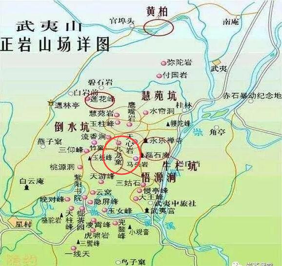 母樹大紅袍給誰喝了，為什么母樹大紅袍叫三棵六株？