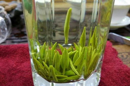 雀舌有一股青草味，雀舌為什么有青草味？