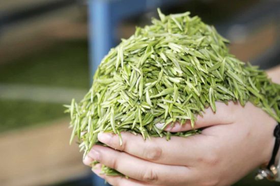 高山云霧茶屬于什么茶，高山云霧茶哪里的最好