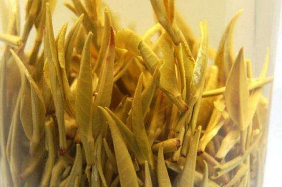 黃茶不適合哪些人喝，黃茶的功效與作用禁忌