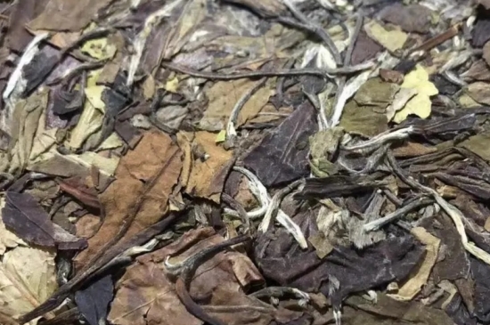 老白茶上火還是去火？夏季喝煮的老白茶會容易上火！