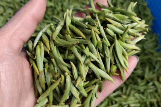 龍井茶好壞的鑒別圖片，如何區(qū)別龍井茶的好壞？