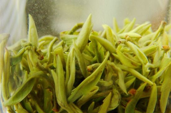 碧螺春為什么泡水渾濁，碧螺春茶葉泡水感覺很臟是混濁的