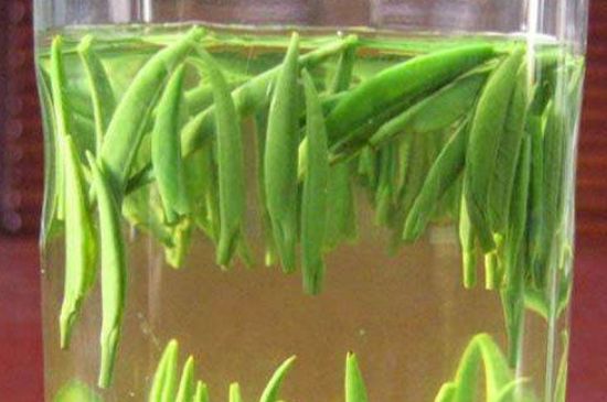 竹葉青和毛尖的區(qū)別，毛尖和竹葉青怎么分辨？