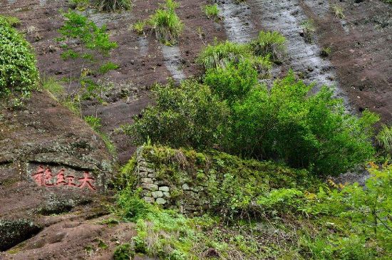 武夷巖茶大紅袍，喝起來(lái)是什么味道？