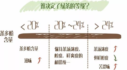 什么綠茶口味重口感濃郁，口味比較重的綠茶都有那些？