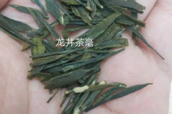 西湖龍井茶毫和發(fā)霉區(qū)別圖片，長霉的龍井茶葉會是什么樣？