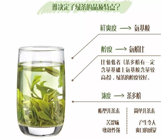 什么綠茶口味重口感濃郁，口味比較重的綠茶都有那些？