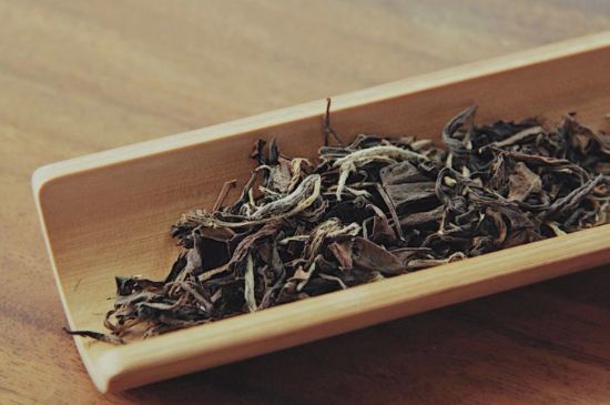 怎么撬老白茶茶餅不容易碎，福鼎白茶如何撬茶方法