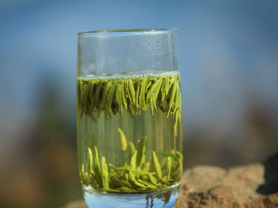 竹葉青茶怎么樣，檔次較高味道略苦價(jià)格比較貴