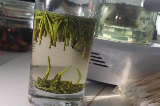 金壇雀舌算不算好茶，金壇雀舌屬于什么檔次茶葉？