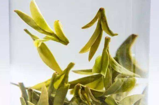 烏牛早和龍井的區(qū)別圖片，龍井43號(hào)和烏牛早茶的對(duì)比