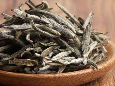 白茶有哪些品種排名，<a href=http://m.sdeasyshipping.com/fenlei/baicha/ target=_blank class=infotextkey>白茶的種類</a>大全