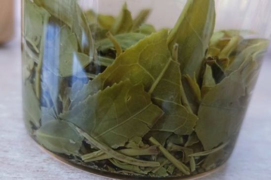 綠茶陳茶和新茶區(qū)別，綠茶怎樣區(qū)分新茶和陳茶