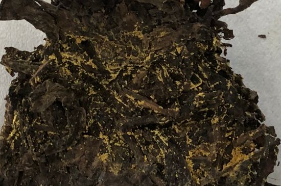 怎么知道涇渭茯茶是否變質(zhì)，茯磚茶金花和發(fā)霉的區(qū)別