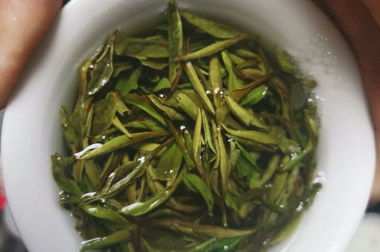 什么人不能喝白茶，白茶不宜什么人喝？