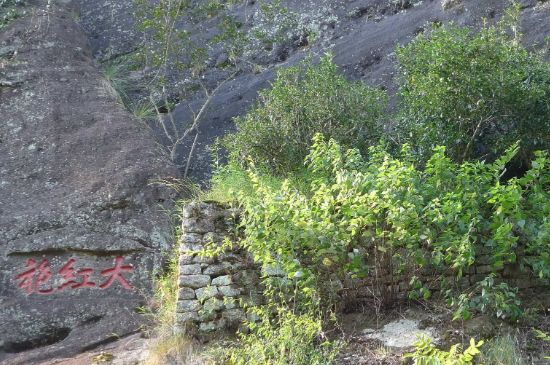 母樹大紅袍給誰喝了，為什么母樹大紅袍叫三棵六株？