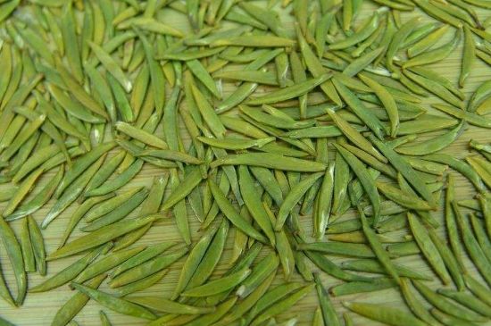 竹葉青和毛尖的區(qū)別，毛尖和竹葉青怎么分辨？