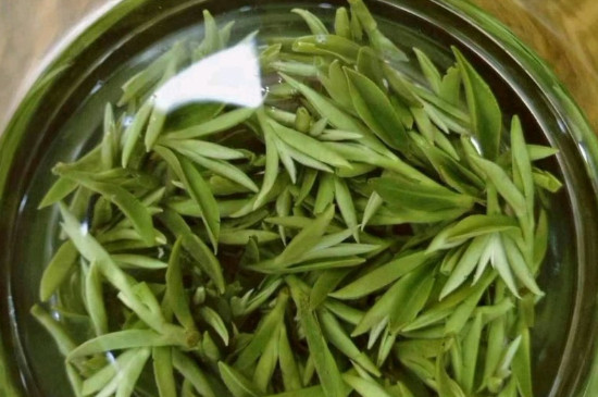 什么綠茶茶葉唇齒留香，哪個品種綠茶香氣好？