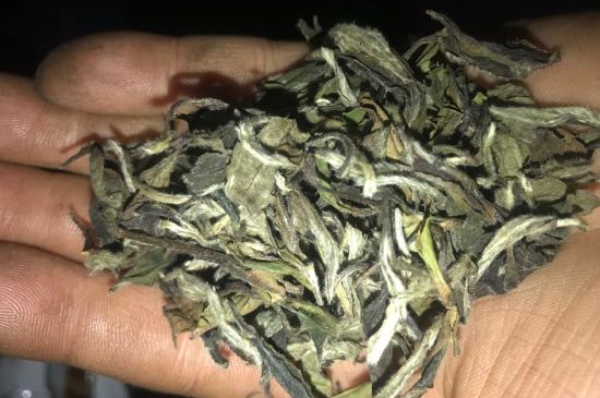 7年壽眉和2年白牡丹哪個(gè)好，老白茶壽眉與白牡丹的口感區(qū)別