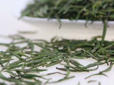 霍山黃芽算是好茶嗎，霍山黃芽屬于什么茶？