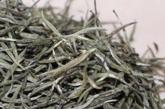 什么人不能喝白茶，白茶不宜什么人喝？