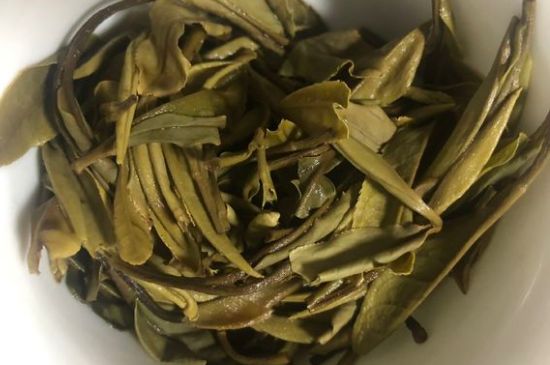 三年白茶賽砒霜，這是真的嗎？