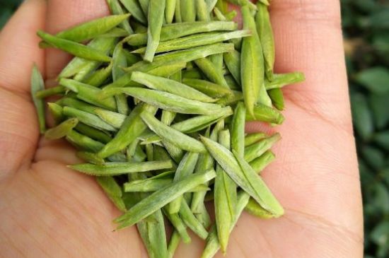 什么綠茶味道濃香，那個(gè)綠茶比較濃香？