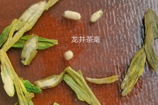 西湖龍井茶毫和發(fā)霉區(qū)別圖片，長霉的龍井茶葉會是什么樣？
