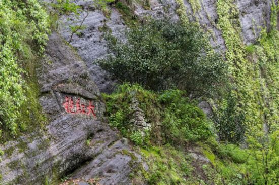 大紅袍為什么沒(méi)保質(zhì)期，武夷巖茶大紅袍能放幾年？