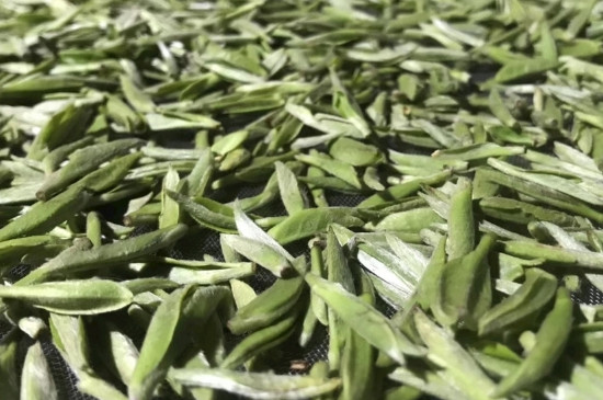 白毫銀針年份久的有什么香，陳年白毫銀針的香氣